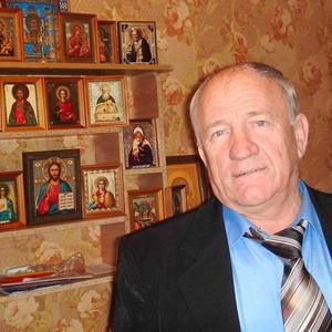 Gennadij Potapov, 74 года, Москва