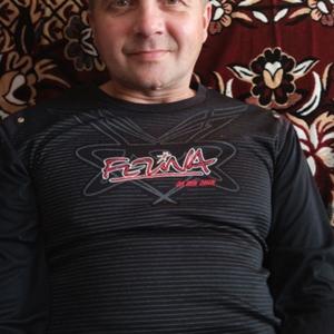Андрей, 43 года, Онега
