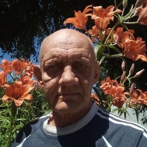 Михаил, 58 лет, Благовещенск