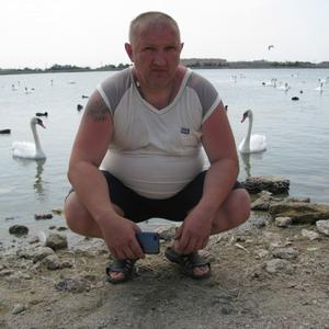 Сергей Соломатников, 52 года, Курск