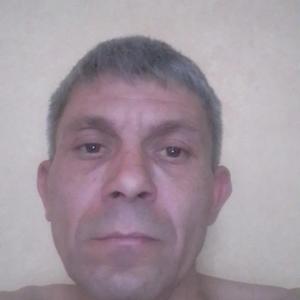 Дмитрий, 44 года, Пушное