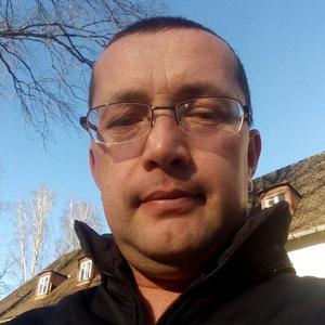 Андрей, 42 года, Калининград