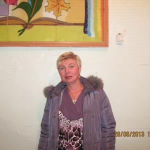Светлана, 64 года, Шарья