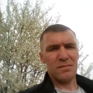 Александр, 43 года, Курск