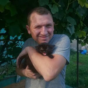 Парни в Нижнекамске: Алексей, 41 - ищет девушку из Нижнекамска