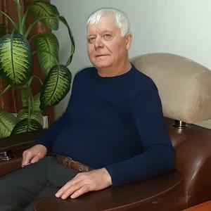Владимир Радионов, 66 лет, Иркутск