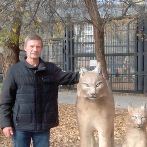 Юрий Белоусов, 53 года, Воронеж