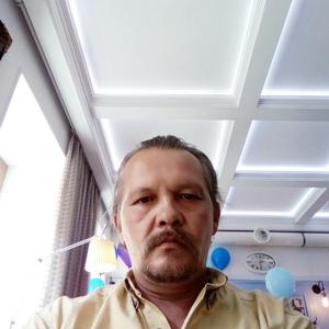 Михаил Панин, 53 года, Воронеж
