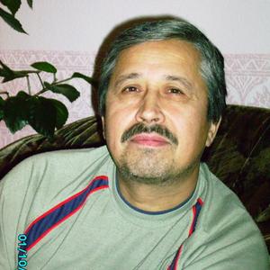 Геннадий, 71 год, Новосибирск
