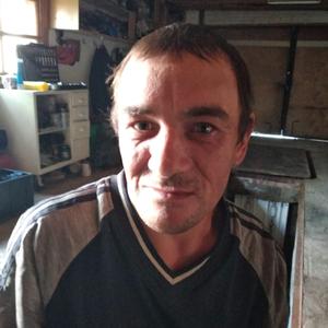 Игорь Норкин, 48 лет, Юргинское