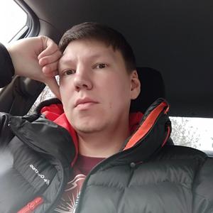 Дмитрий Степанов, 37 лет, Калуга