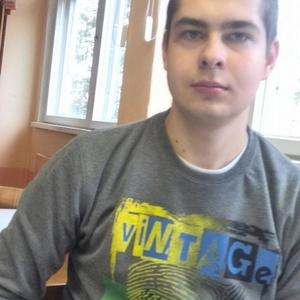 Алексей, 26 лет, Светлогорск