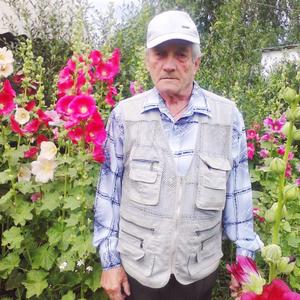 Парни в Барнауле (Алтайский край): Михаил, 73 - ищет девушку из Барнаула (Алтайский край)