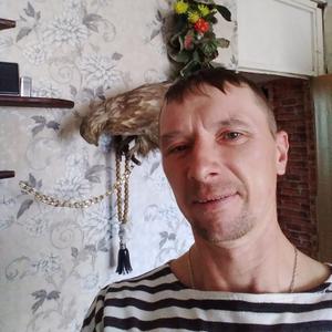 Михаил, 43 года, Дунай