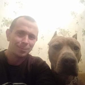 Парни в Новошахтинске: Андрей, 37 - ищет девушку из Новошахтинска