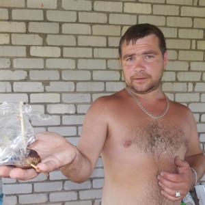 Парни в Волгограде: Анатолий, 43 - ищет девушку из Волгограда