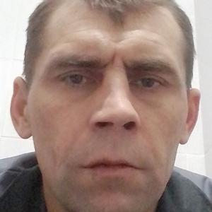Парни в Бресте (Беларусь): Сергей, 43 - ищет девушку из Бреста (Беларусь)