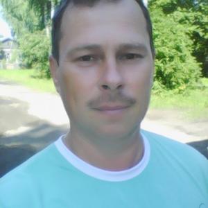 Андрей, 48 лет, Новотроицк
