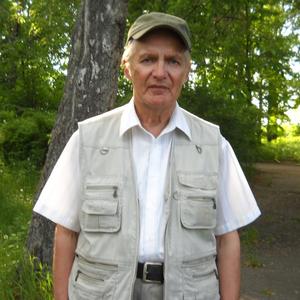 Олег, 74 года, Нижний Новгород