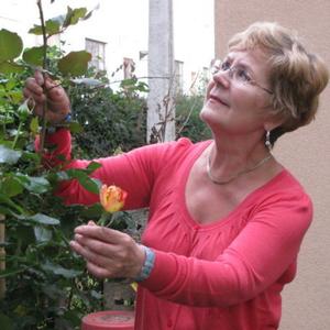 Галина Марамыгина, 71 год, Москва