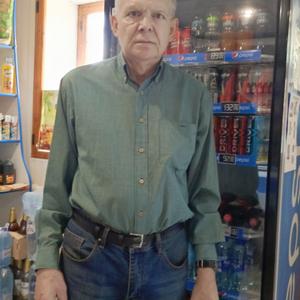 Анатолий, 65 лет, Ливны