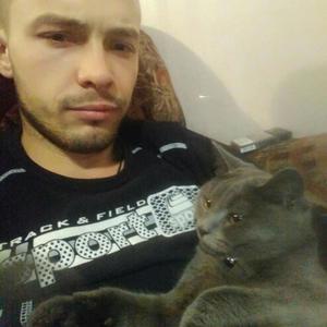 Николай, 32 года, Камышин