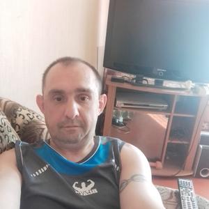 Сергей, 41 год, Липецк