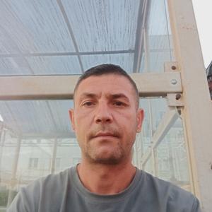 Antant, 42 года, Омск