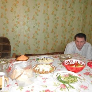 Андрей Шамрин, 50 лет, Красноярск