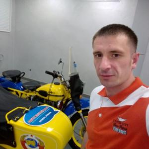 Андрей, 36 лет, Пермь