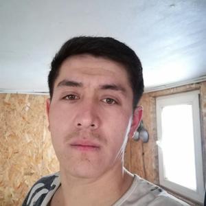 Ahliddin, 29 лет, Ачинск
