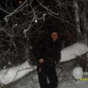 Владимир, 43 года, Сегежа