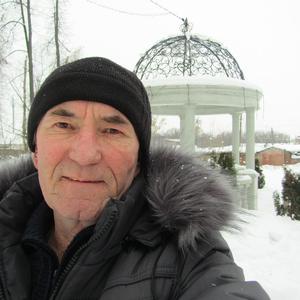 Парни в Алексине: Виктор Стёпкин, 67 - ищет девушку из Алексина