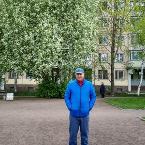 Анатолий, 63 года, Краснокумское