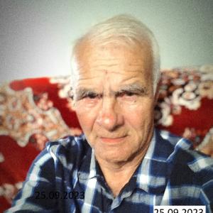 Анатолий Должанский, 83 года, Москва