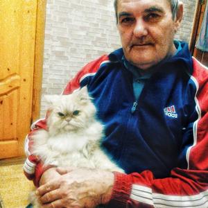 Евгений, 71 год, Воронеж