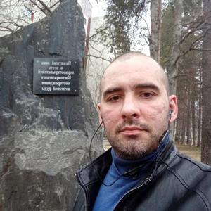 Дима, 39 лет, Брянск