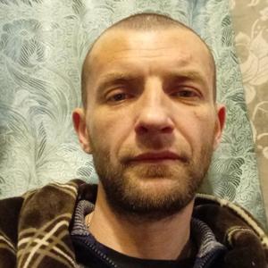 Андрей, 43 года, Лесозаводск