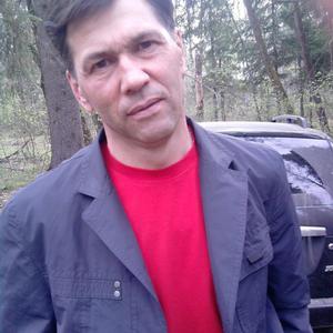 Рафис Гилаев, 52 года, Ижевск