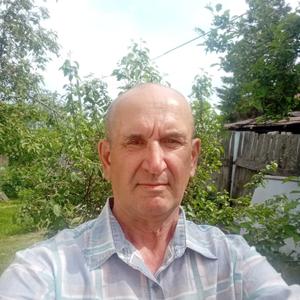 Парни в Барнауле (Алтайский край): Аркадий, 62 - ищет девушку из Барнаула (Алтайский край)