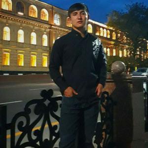 Тимур, 23 года, Ташкент