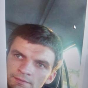 Андрей Масевич, 42 года, Минск