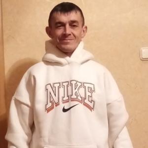 Роман, 36 лет, Липецк