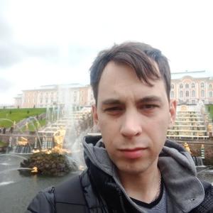 Парни в Химках: Александр, 30 - ищет девушку из Химок
