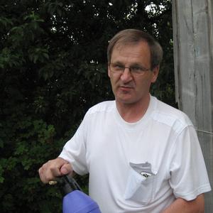 Сергей, 72 года, Нижний Новгород