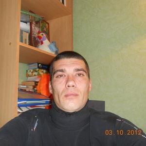 Владимир, 45 лет, Михайловка