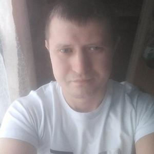 Григорий Степаненко, 37 лет, Смоленск