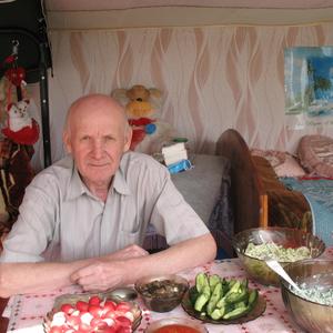 Анатолий, 74 года, Ялуторовск