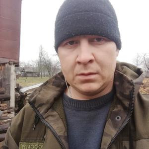Николай, 36 лет, Ядрин