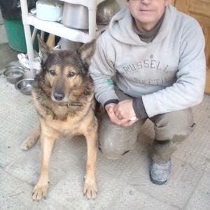 Парни в Волгограде: Сергей, 58 - ищет девушку из Волгограда